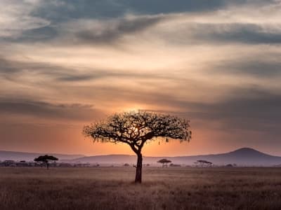 Tax professionals in Kenya